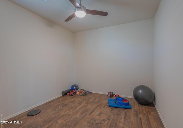 exercise area featuring ceiling fan and hardwood / wood-style floors