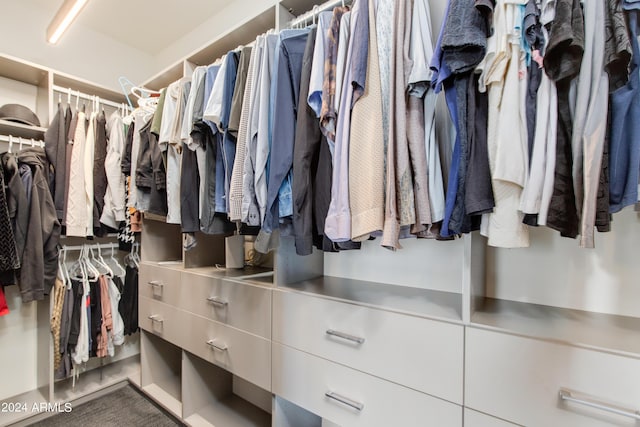 view of walk in closet