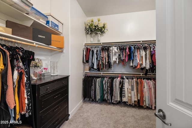 31517 N 41st St, Cave Creek, AZ 85331 - walk in closet with carpet floors