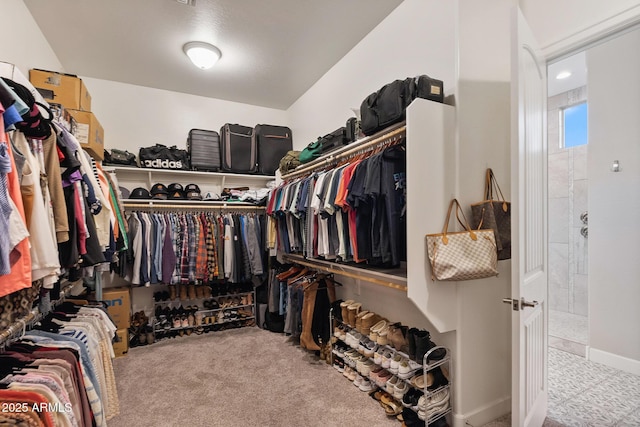 31517 N 41st St, Cave Creek, AZ 85331 - spacious closet with carpet floors