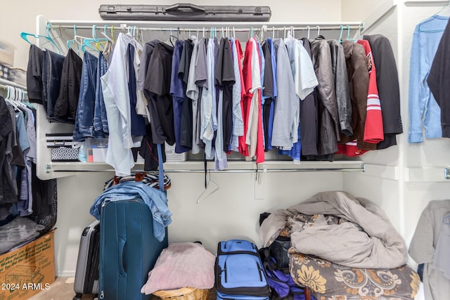 view of spacious closet