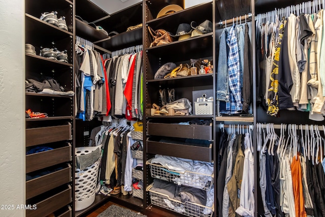 walk in closet with hardwood / wood-style flooring