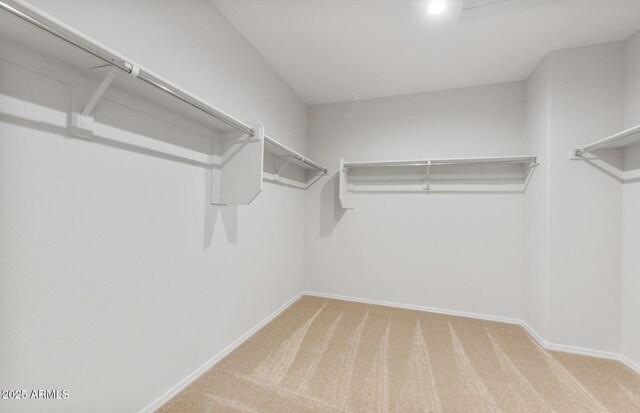 spacious closet featuring light colored carpet