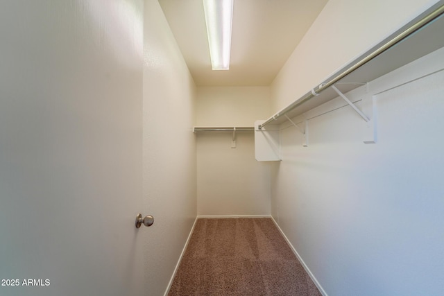 spacious closet with carpet floors