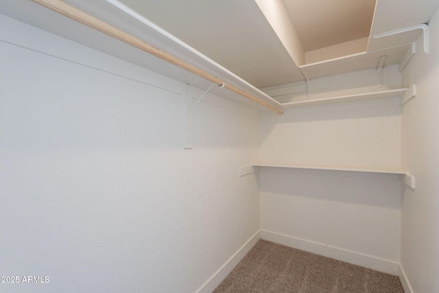 4037 E Milton Dr, Cave Creek, AZ 85331 - spacious closet with carpet