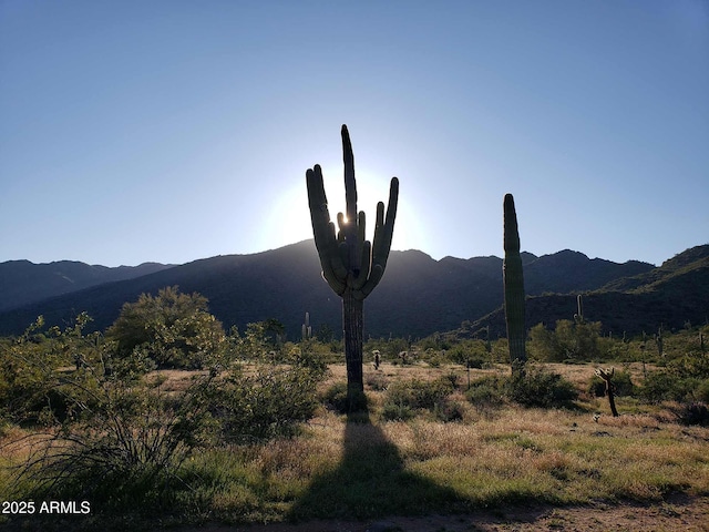 view of mountain feature