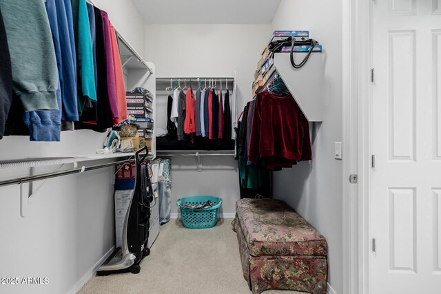 walk in closet featuring carpet floors