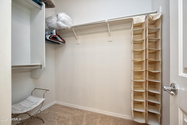 walk in closet with carpet floors