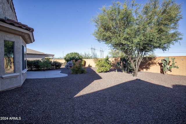 view of yard with a patio area