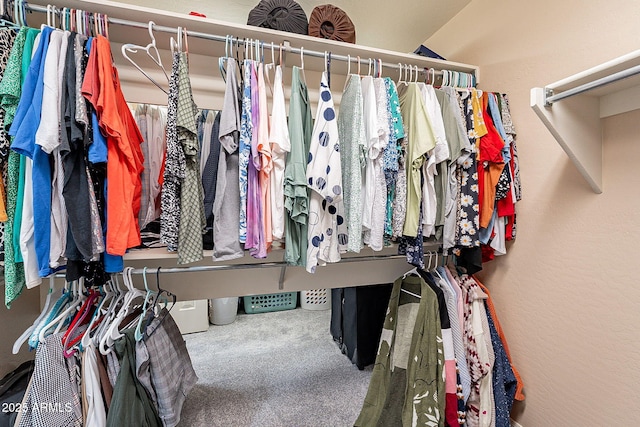 spacious closet with carpet flooring