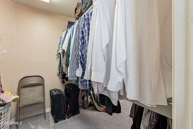 spacious closet with carpet floors