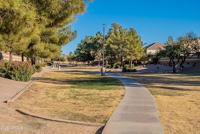 view of community featuring a yard