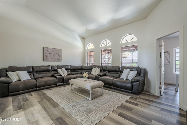 living room featuring wood-type flooring and vaulted ceiling