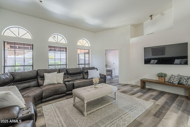 living room with hardwood / wood-style flooring