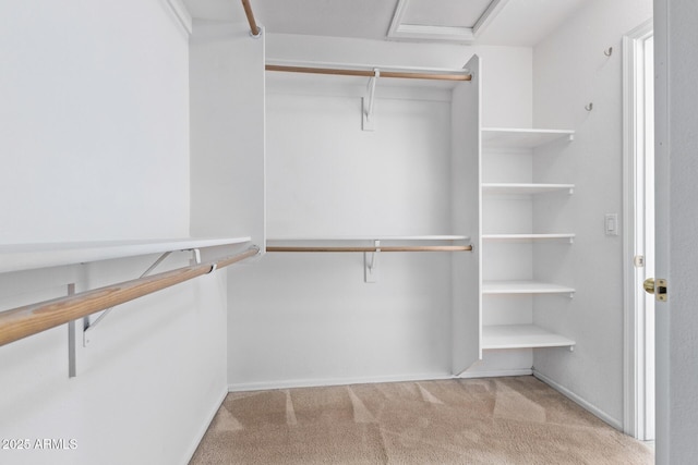 walk in closet with light colored carpet