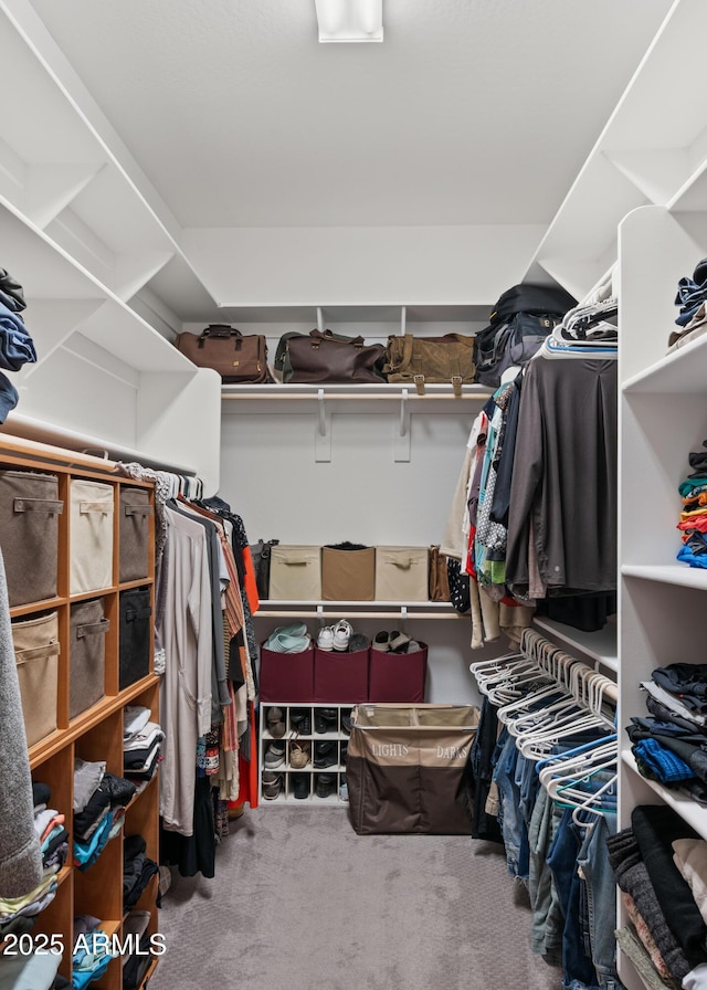 spacious closet featuring carpet flooring