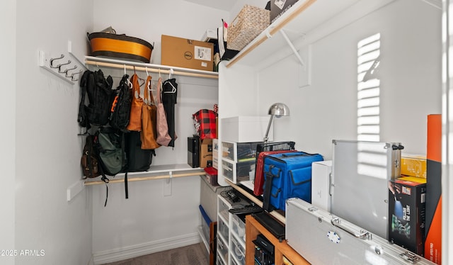 view of spacious closet