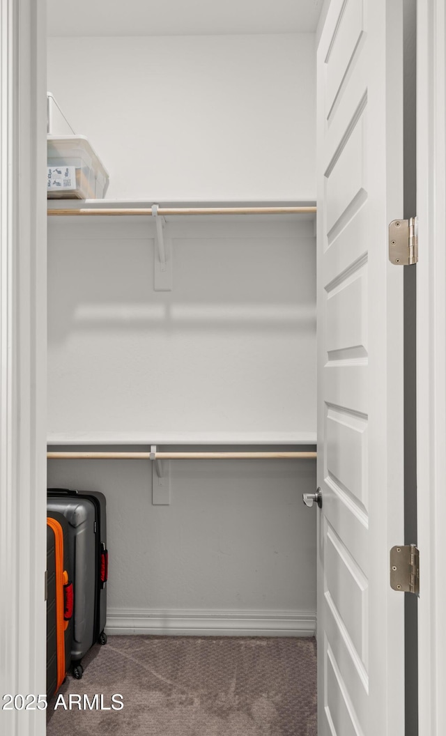 spacious closet with carpet flooring