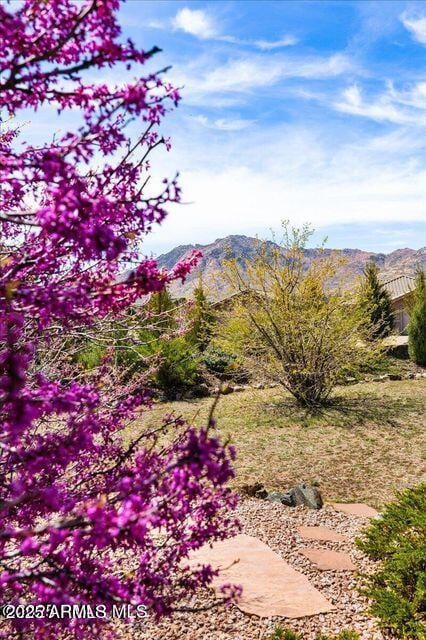 10796 N Saddle Pass Rd, Prescott, AZ 86305 - mountain view
