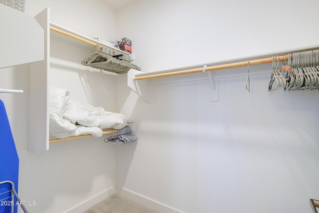 2511 W Queen Creek Rd Unit 374, Chandler, AZ 85248 - walk in closet with carpet floors