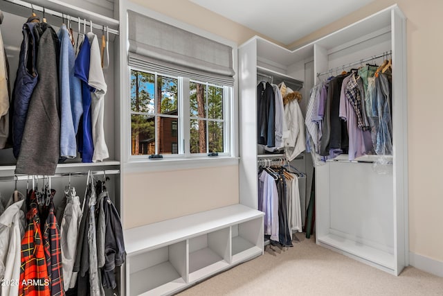 spacious closet featuring carpet flooring