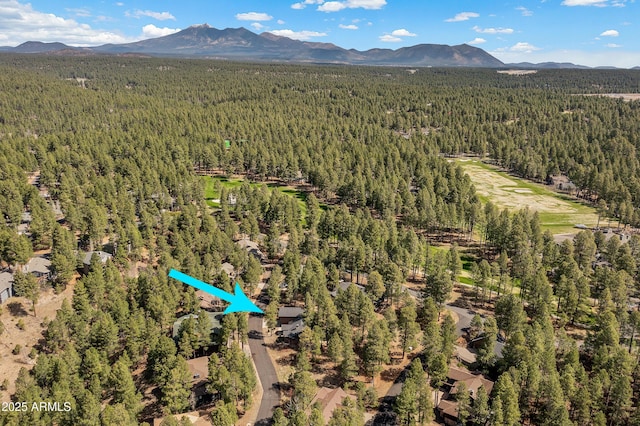 birds eye view of property featuring a mountain view and a view of trees