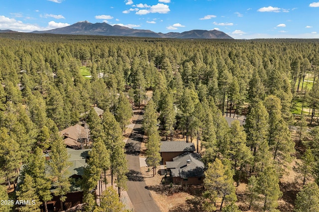 bird's eye view featuring a mountain view and a view of trees