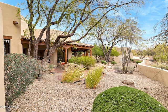 view of yard featuring a patio area