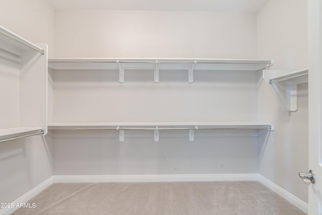 walk in closet featuring light colored carpet