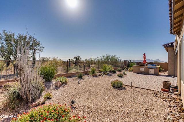 view of yard featuring a patio area and exterior kitchen