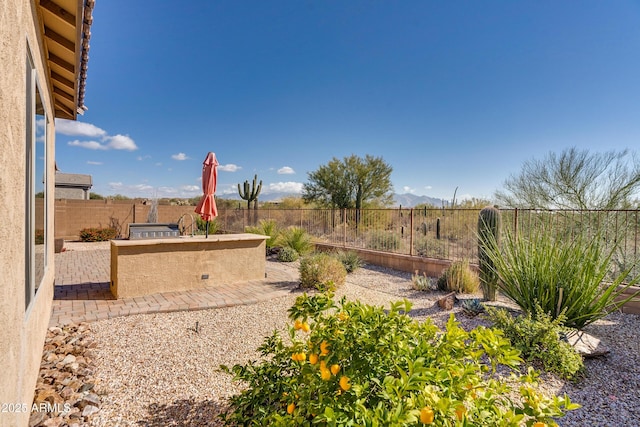 view of yard with area for grilling and a patio area