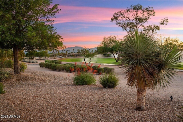 view of property's community with a mountain view