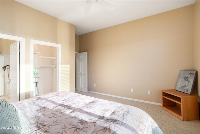 bedroom featuring light carpet, a closet, ceiling fan, and a walk in closet