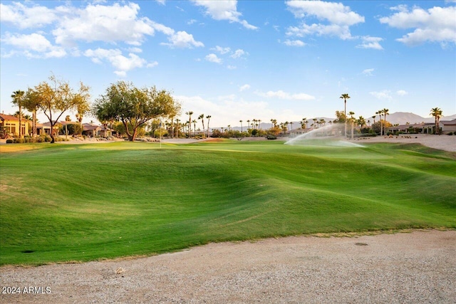 view of property's community featuring a yard