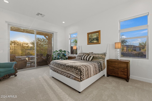 bedroom with access to outside and carpet flooring