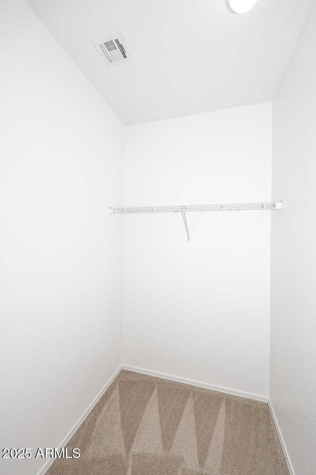 walk in closet featuring carpet flooring