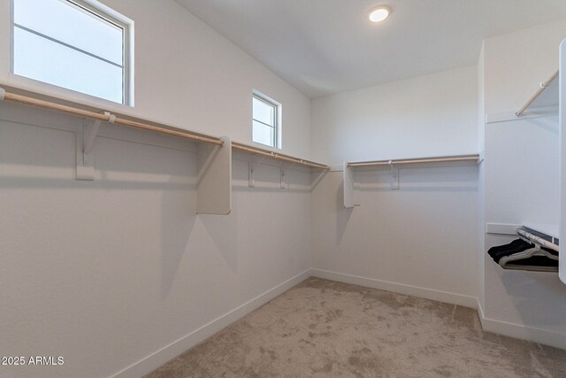 22822 E Watford Dr, Queen Creek, AZ 85142 - spacious closet with carpet