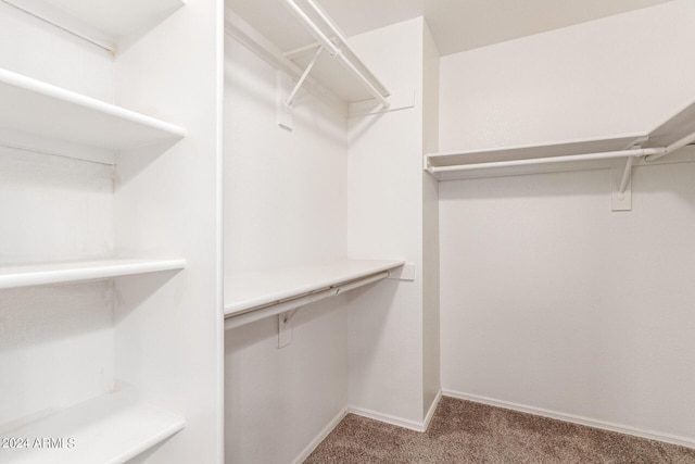 spacious closet with carpet flooring