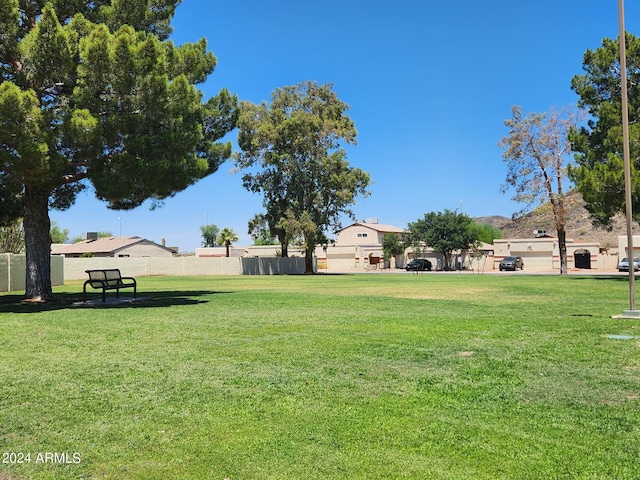 4760 W Wahalla Ln, Glendale, AZ 85308 - view of yard