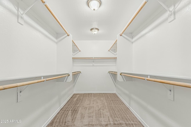2000 N 36th St Unit 17, Phoenix, AZ 85008 - walk in closet with carpet flooring