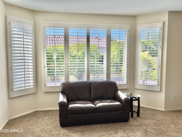 sitting room with light carpet and a wealth of natural light