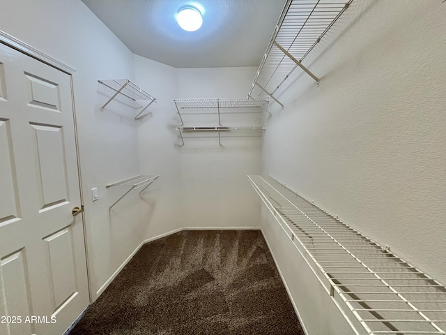 spacious closet with carpet