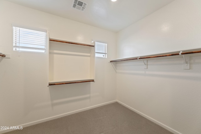 walk in closet featuring carpet