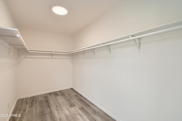 spacious closet featuring hardwood / wood-style flooring