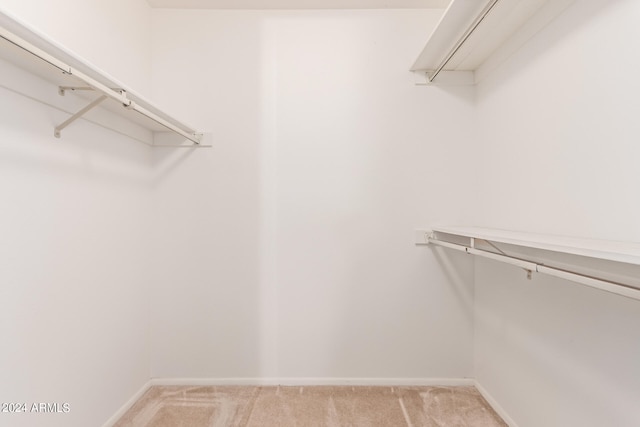 spacious closet with light colored carpet