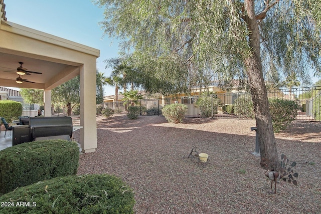 view of yard featuring a patio area and ceiling fan