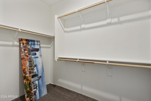 spacious closet with dark carpet