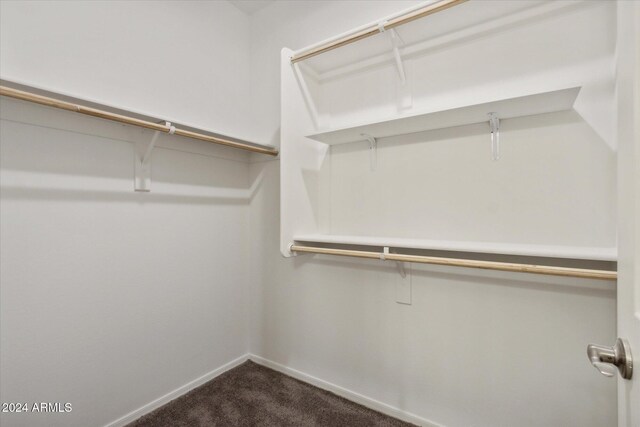 walk in closet with carpet flooring