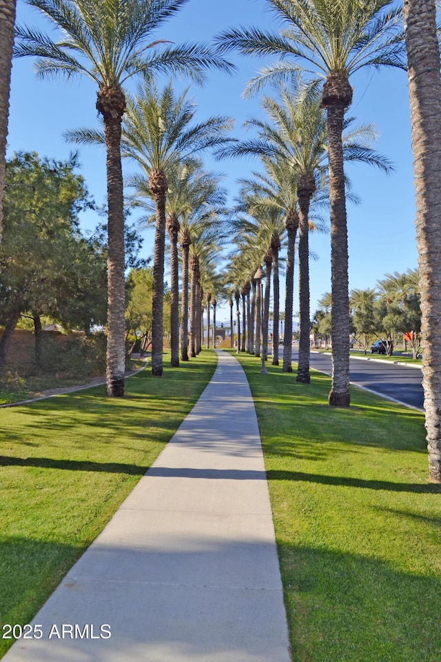 view of home's community with a yard