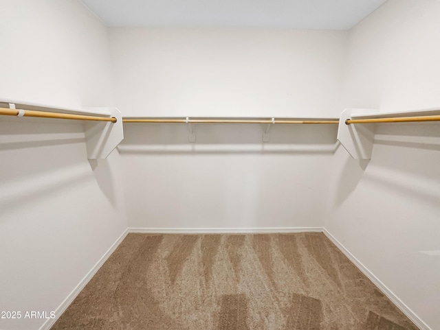 walk in closet with carpet floors